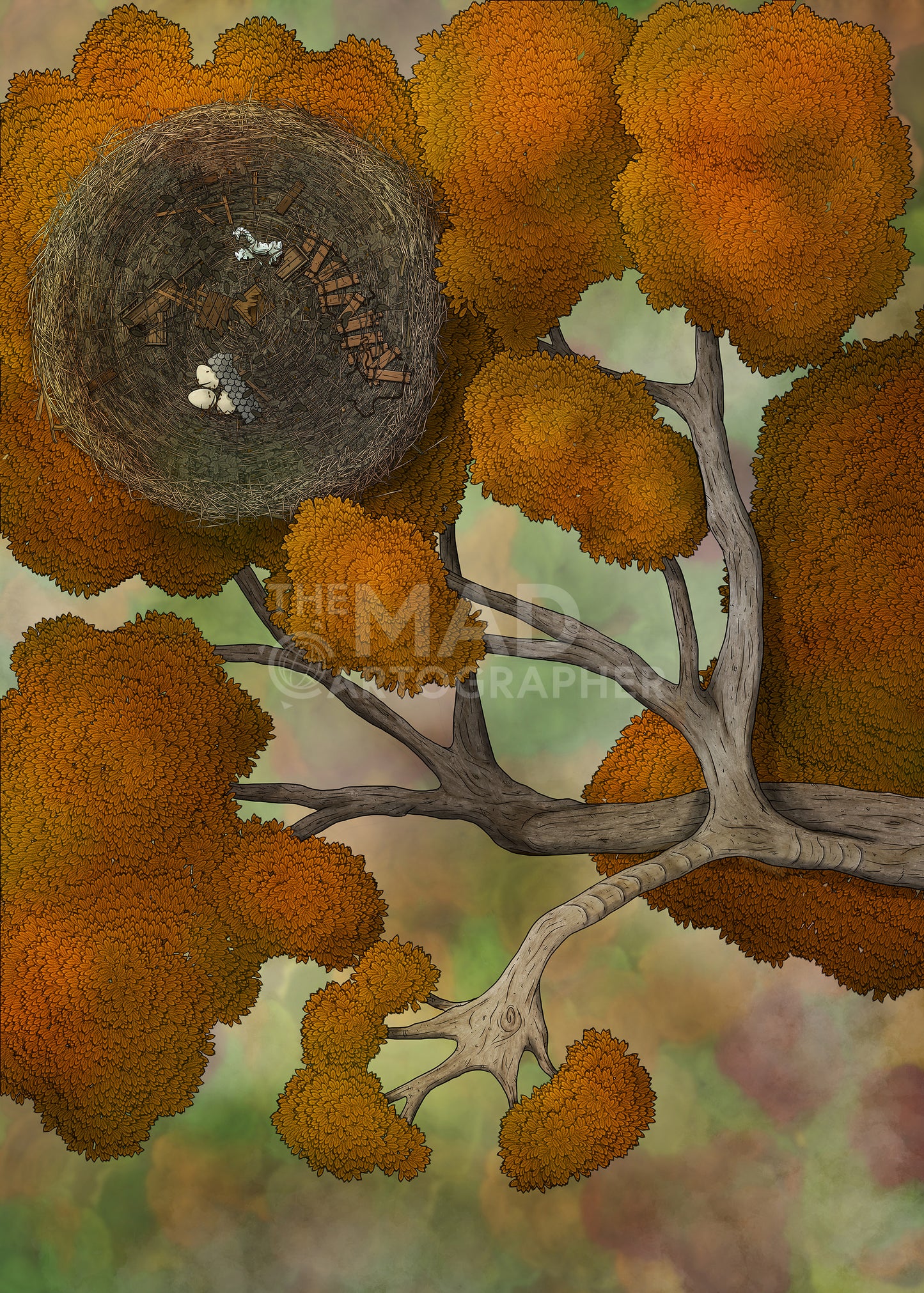 Forest Wilderness - Map Image Pack