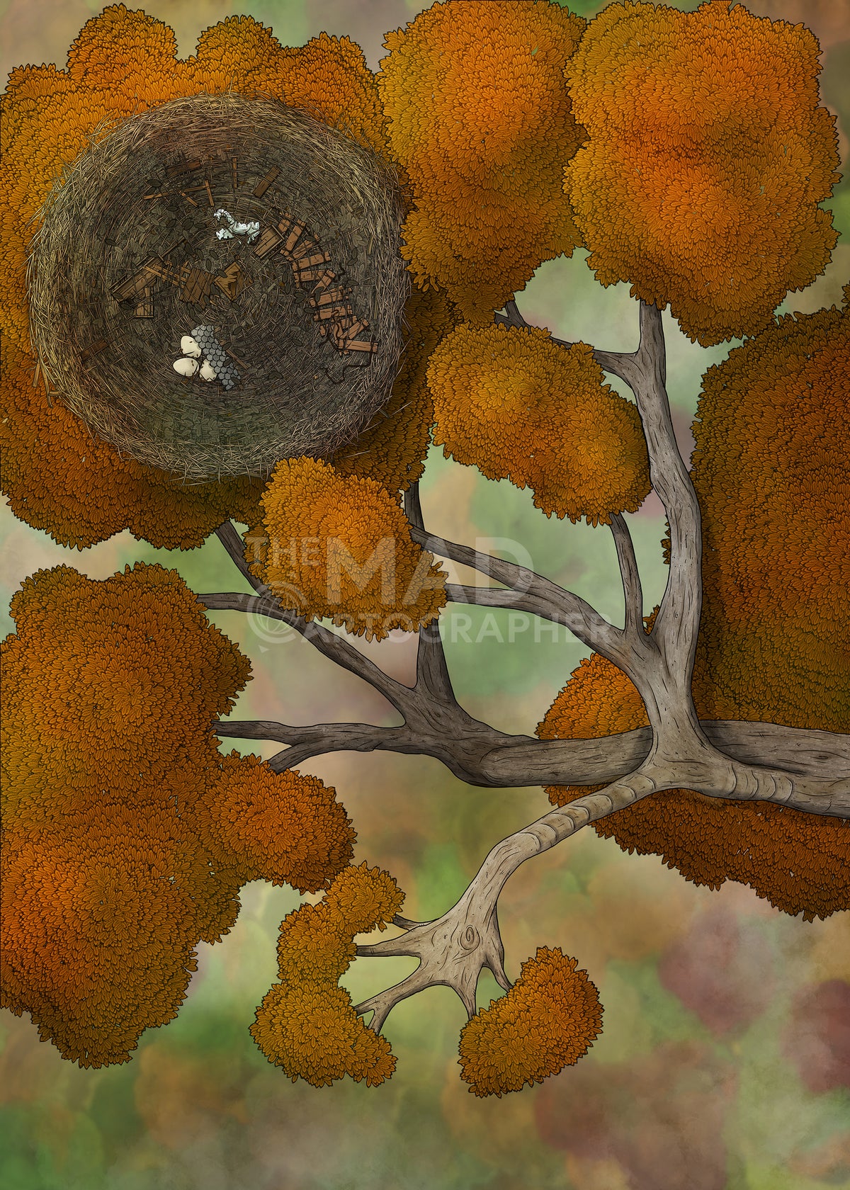 Forest Wilderness - Map Image Pack