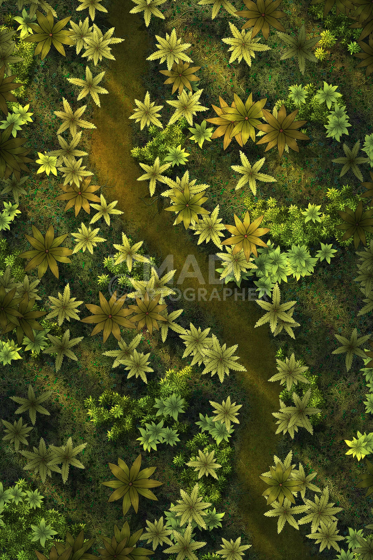 Tropics - Map Image Pack