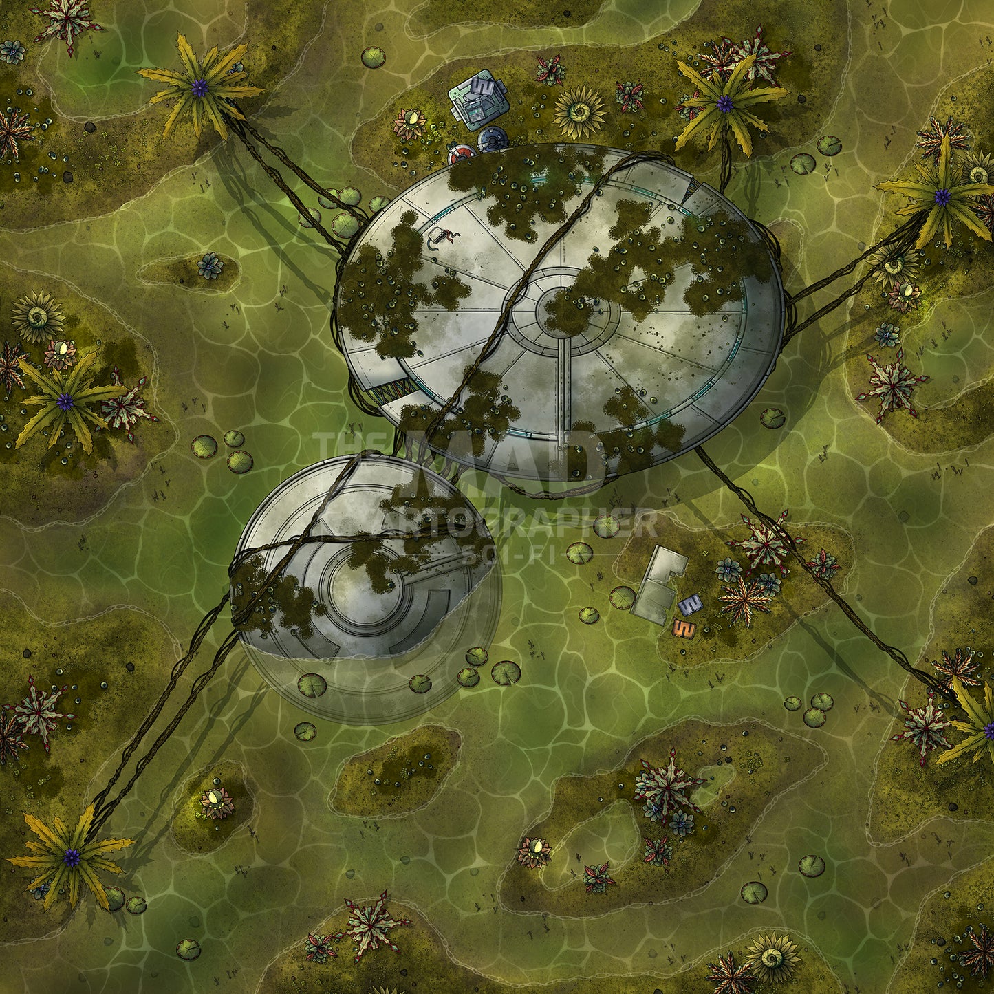 Swamp Expedition Map Image Pack